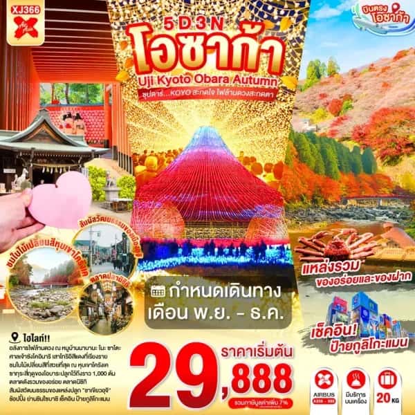 ทัวร์ญี่ปุ่น โอซาก้า อุจิ เกียวโต โอบาระ ชมใบไม้เปลี่ยนสี หมู่บ้านนาบานะ โนะ ซาโตะ 5 วัน 3 คืน